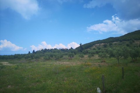 18500m² Land in Chalkidiki, Greece No. 57342 3