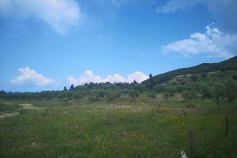 18500m² Land in Chalkidiki, Greece No. 57342 5