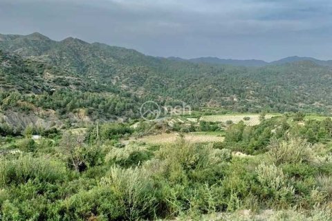 25284m² Land in Troodos, Cyprus No. 35811 3