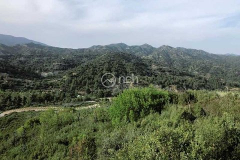 25284m² Land in Troodos, Cyprus No. 35811 1