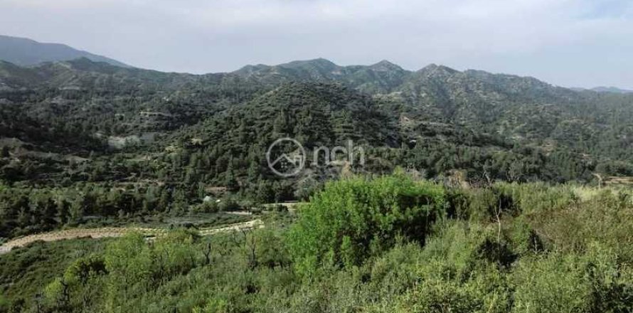 25284m² Land in Troodos, Cyprus No. 35811