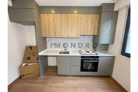 1+1 Appartement à Beyoglu, Turkey No. 17287 7