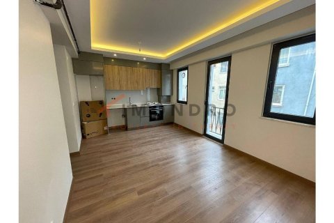 1+1 Appartement à Beyoglu, Turkey No. 17287 11