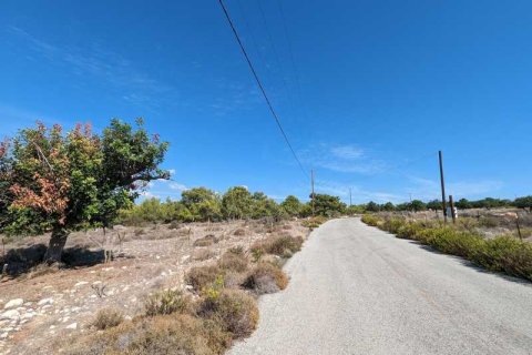 3800m² Land in Pissouri, Cyprus No. 71750 6