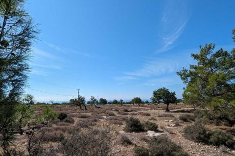 3800m² Land in Pissouri, Cyprus No. 71750 4