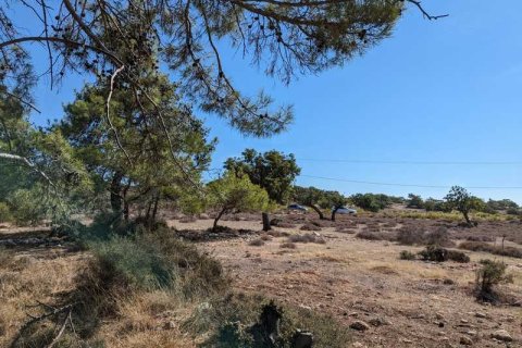 3800m² Land in Pissouri, Cyprus No. 71750 2