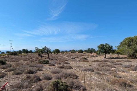 3800m² Land in Pissouri, Cyprus No. 71750 5