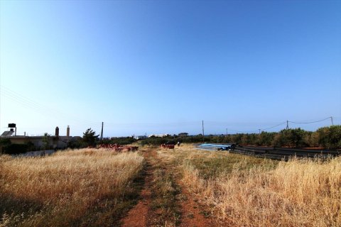 6880m² Land en Hersonissos, Greece No. 59720 1