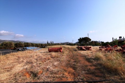 6880m² Land en Hersonissos, Greece No. 59720 3