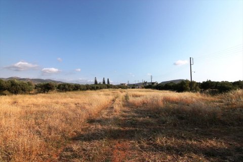 Земельный участок 6880м² в Hersonissos, Греция №59720 2