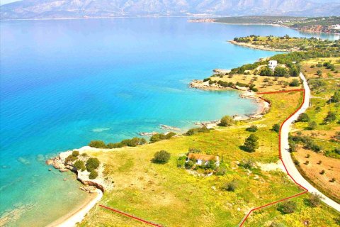 11000m² Land in Kranidi, Greece No. 59717 1