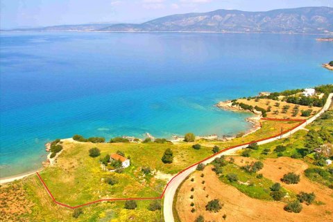 11000m² Land in Kranidi, Greece No. 59717 2