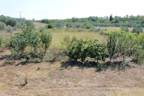 5 chambres House à Katerini, Greece No. 57934 12