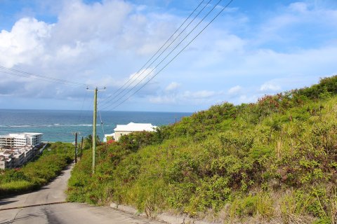 1393.55m² Land à Frigate Bay, Saint Kitts and Nevis No. 61558 2