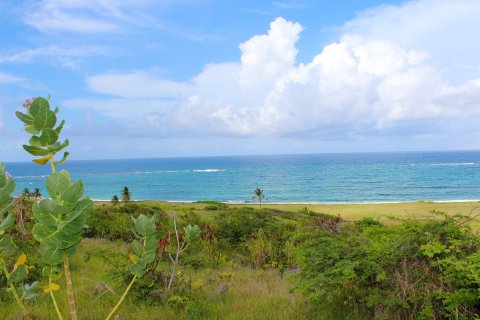 1393.55m² Land en Frigate Bay, Saint Kitts and Nevis No. 61558 1