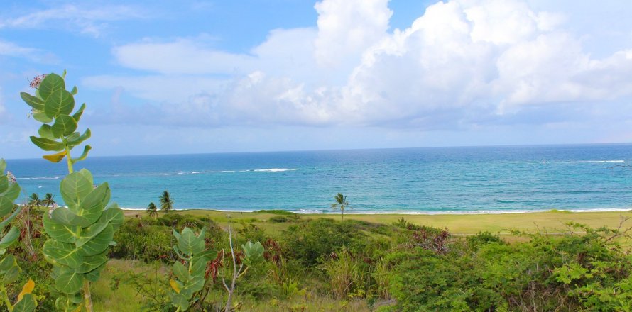 1393.55m² Land in Frigate Bay, Saint Kitts and Nevis No. 61558