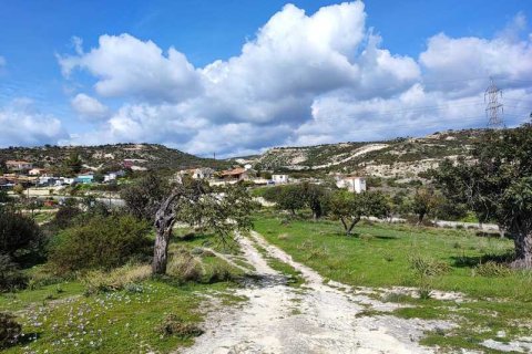 8362m² Land in Pissouri, Cyprus No. 71758 4