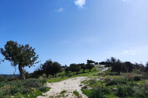 8362m² Land in Pissouri, Cyprus No. 71758 2