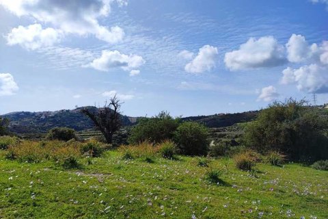 8362m² Land in Pissouri, Cyprus No. 71758 3