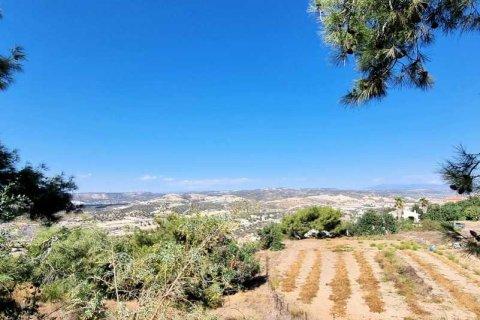 32108m² Land in Pissouri, Cyprus No. 71756 5