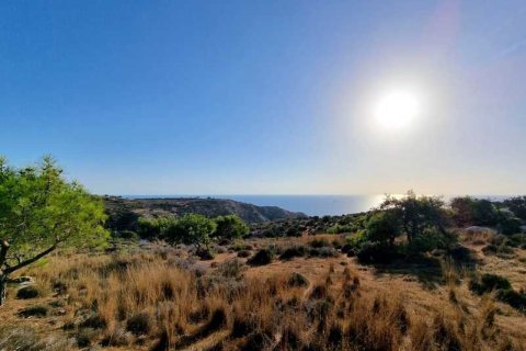 5017m² Land in Pissouri, Cyprus No. 71755 12