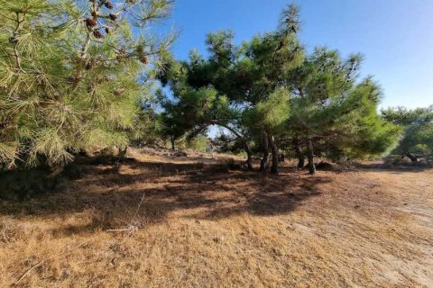 5017m² Land in Pissouri, Cyprus No. 71755 2