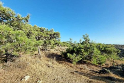 5017m² Land in Pissouri, Cyprus No. 71755 4