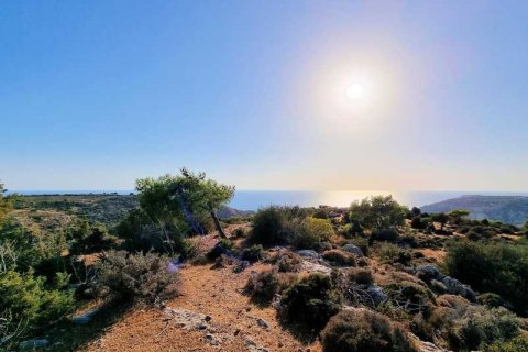 5017m² Land in Pissouri, Cyprus No. 71755 6