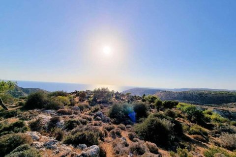 5017m² Land in Pissouri, Cyprus No. 71755 10