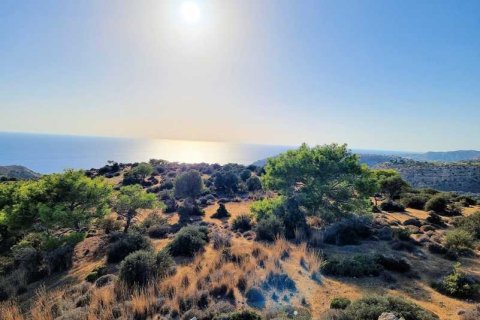 5017m² Land in Pissouri, Cyprus No. 71755 8