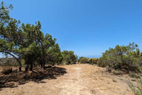 5017m² Land in Pissouri, Cyprus No. 71755 13