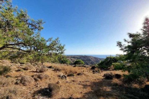 5017m² Land in Pissouri, Cyprus No. 71755 11