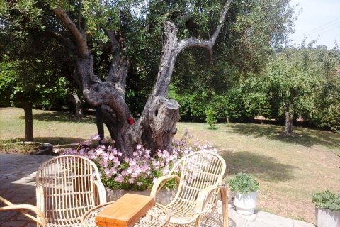 1 chambre Maisonnette à Chalkidiki, Greece No. 60459 9