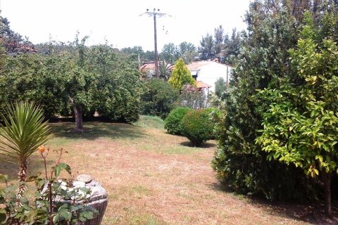 1 chambre Maisonnette à Chalkidiki, Greece No. 60459 10