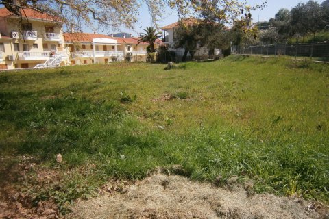 1250m² Land in Thasos, Greece No. 60471 1