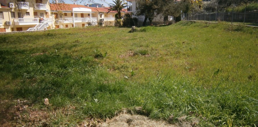 1250m² Land in Thasos, Greece No. 60471