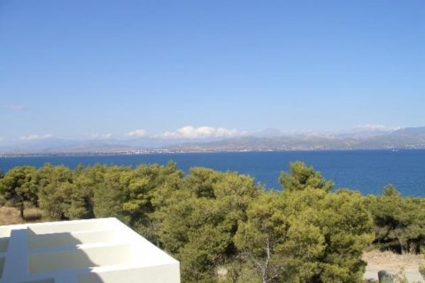 1000m² Villa en Boeotia, Greece No. 56597 5