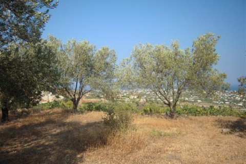 Land in Attica, Greece No. 24533 2