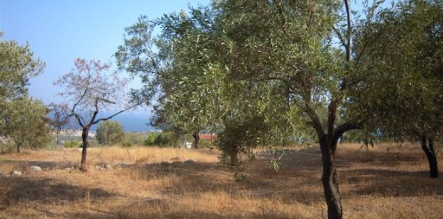 Land in Attica, Greece No. 24533