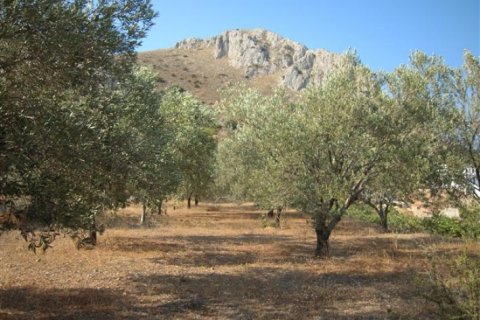 Land in Attica, Greece No. 24533 3