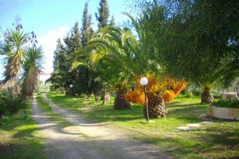 4 chambres House à Zakynthos, Greece No. 24536 13