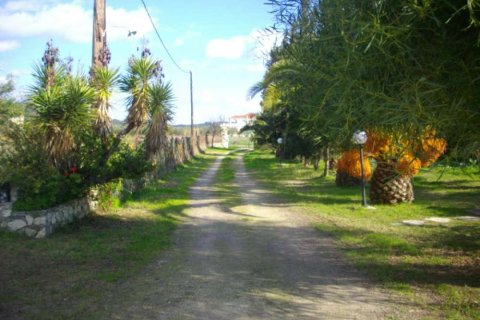 4 bedrooms House in Zakynthos, Greece No. 24536 14