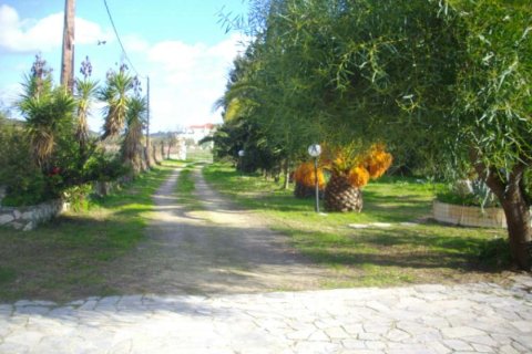 4 chambres House à Zakynthos, Greece No. 24536 3