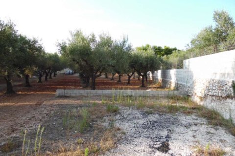 3 chambres House à Zakynthos, Greece No. 24616 8