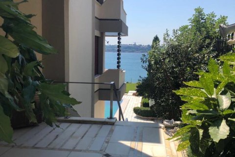 10+2 Villa in Istanbul, Turkey No. 15092 9