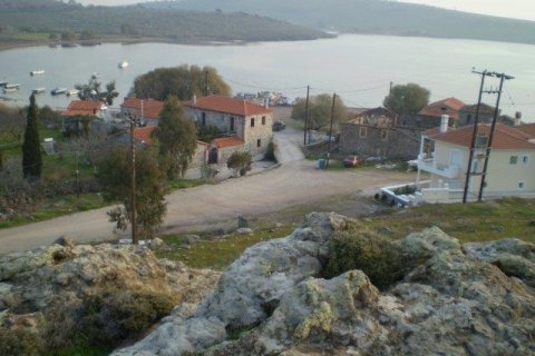 550m² Negocio en Lesbos, Greece No. 58251 1