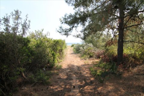 6974m² Land à Chalkidiki, Greece No. 59243 6