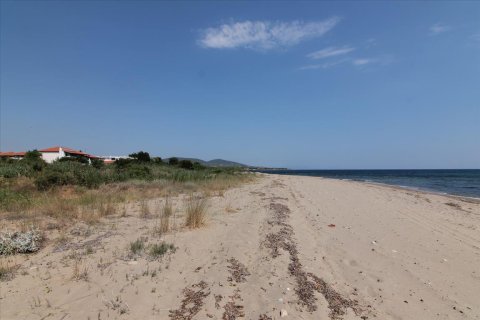 6974m² Land à Chalkidiki, Greece No. 59243 12