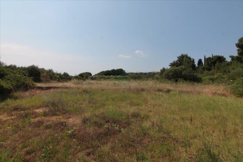 6974m² Land à Chalkidiki, Greece No. 59243 9