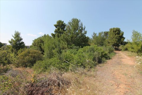 6974m² Land à Chalkidiki, Greece No. 59243 8